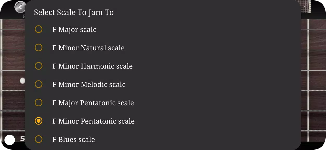 Schermata Guitar Scales & Chords 2