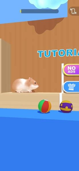 Hamster Maze Screenshot 0