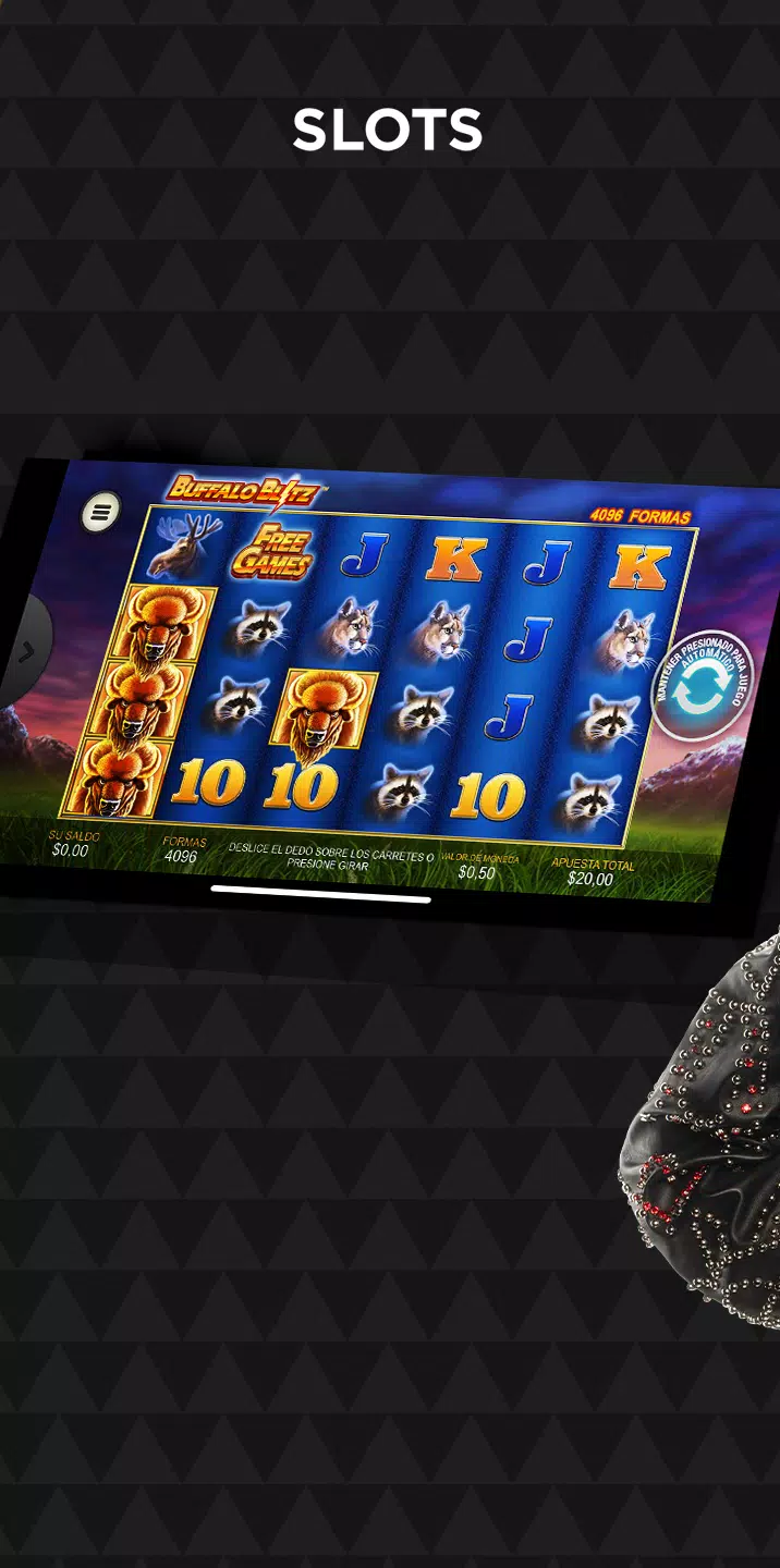 Winner Casino Captura de tela 2