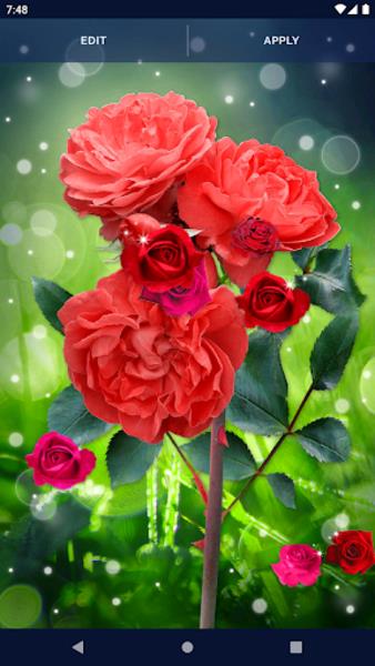 Red Rose Live Wallpaper Captura de tela 0