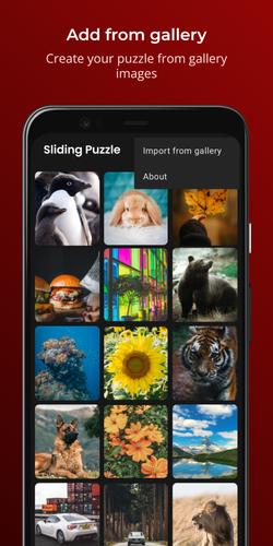 Sliding Puzzle ภาพหน้าจอ 3