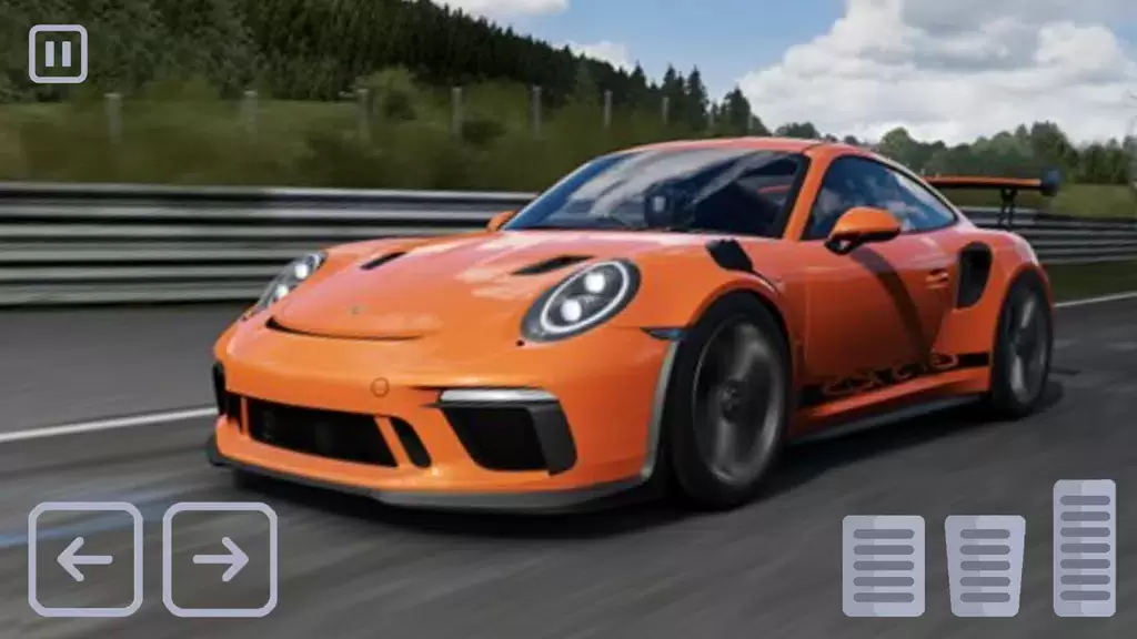 Racing Porsche Carrera 911 GT3 স্ক্রিনশট 0