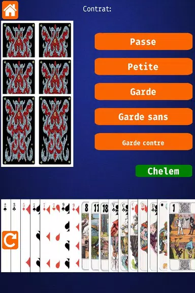 Net.Tarot Zrzut ekranu 1