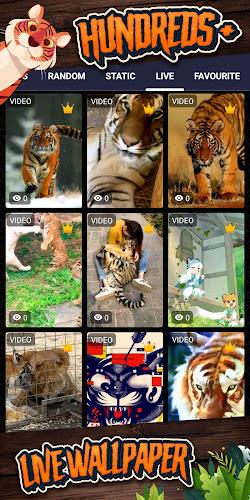 tiger background 스크린샷 2