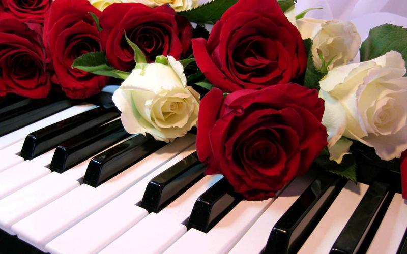 Roses Jigsaw Puzzles應用截圖第0張