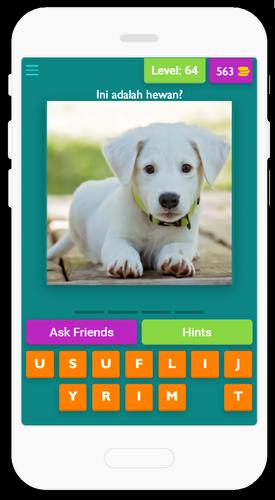 Learn Animals应用截图第1张