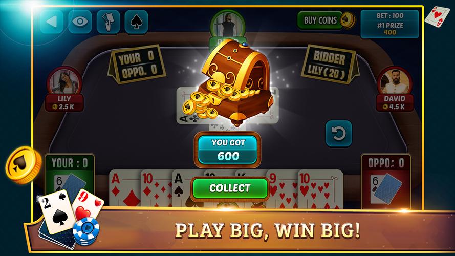 29 Card Game Plus Capture d'écran 2