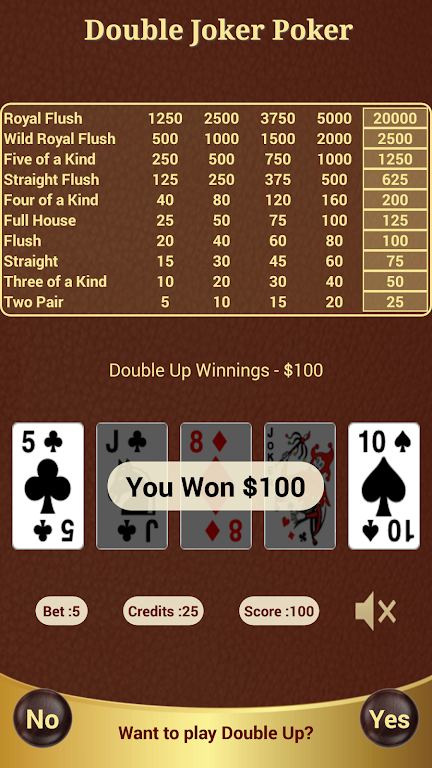 Double Joker Poker Ekran Görüntüsü 2