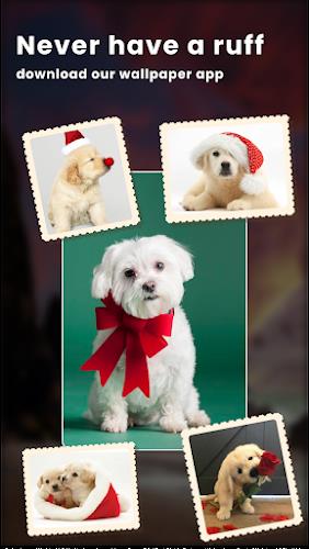 Puppy Love: Cute Dog Wallpaper Ảnh chụp màn hình 1