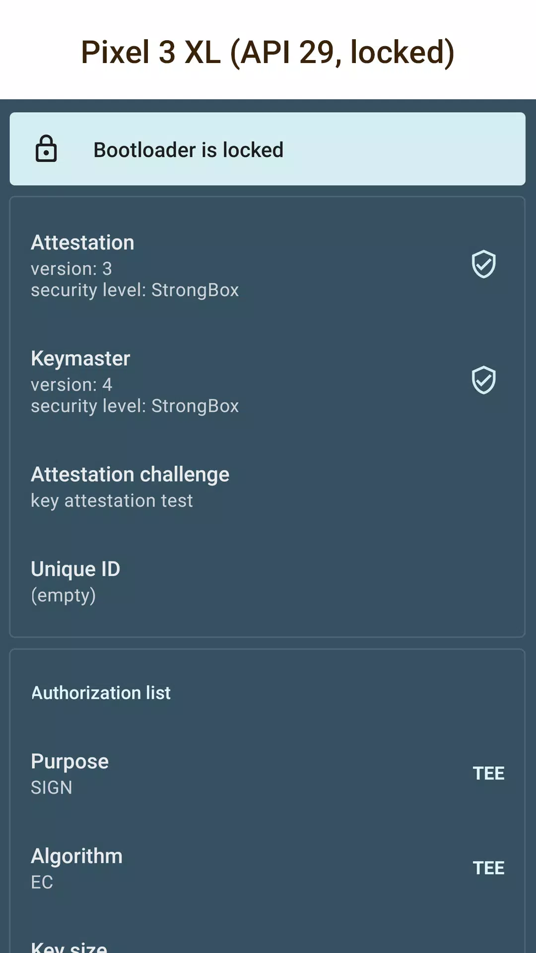 Key Attestation Demo Captura de pantalla 0
