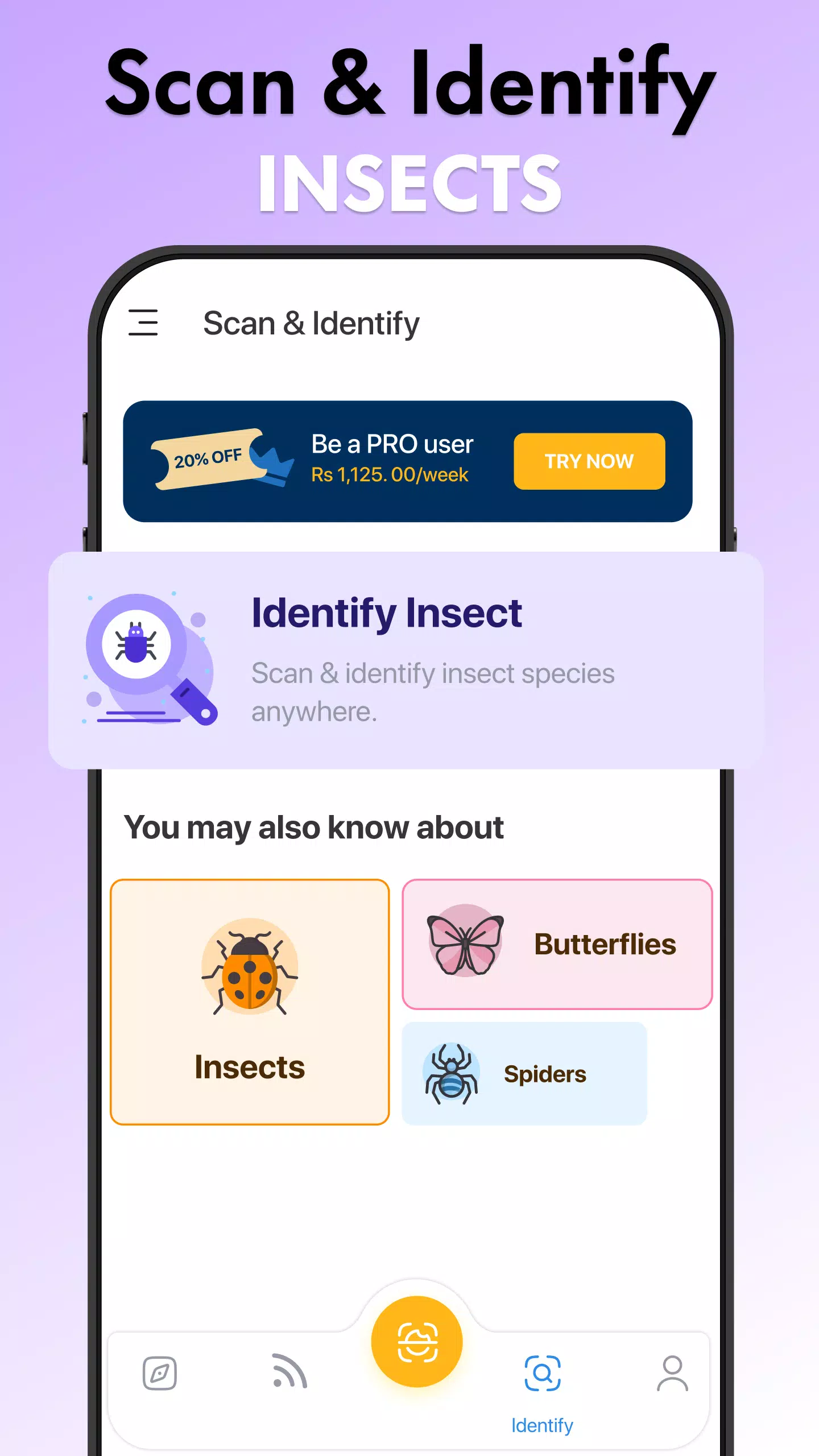 Insect Identifier Bug Identify Ảnh chụp màn hình 3