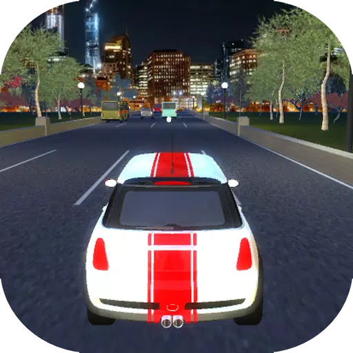 Single Player Traffic Racing