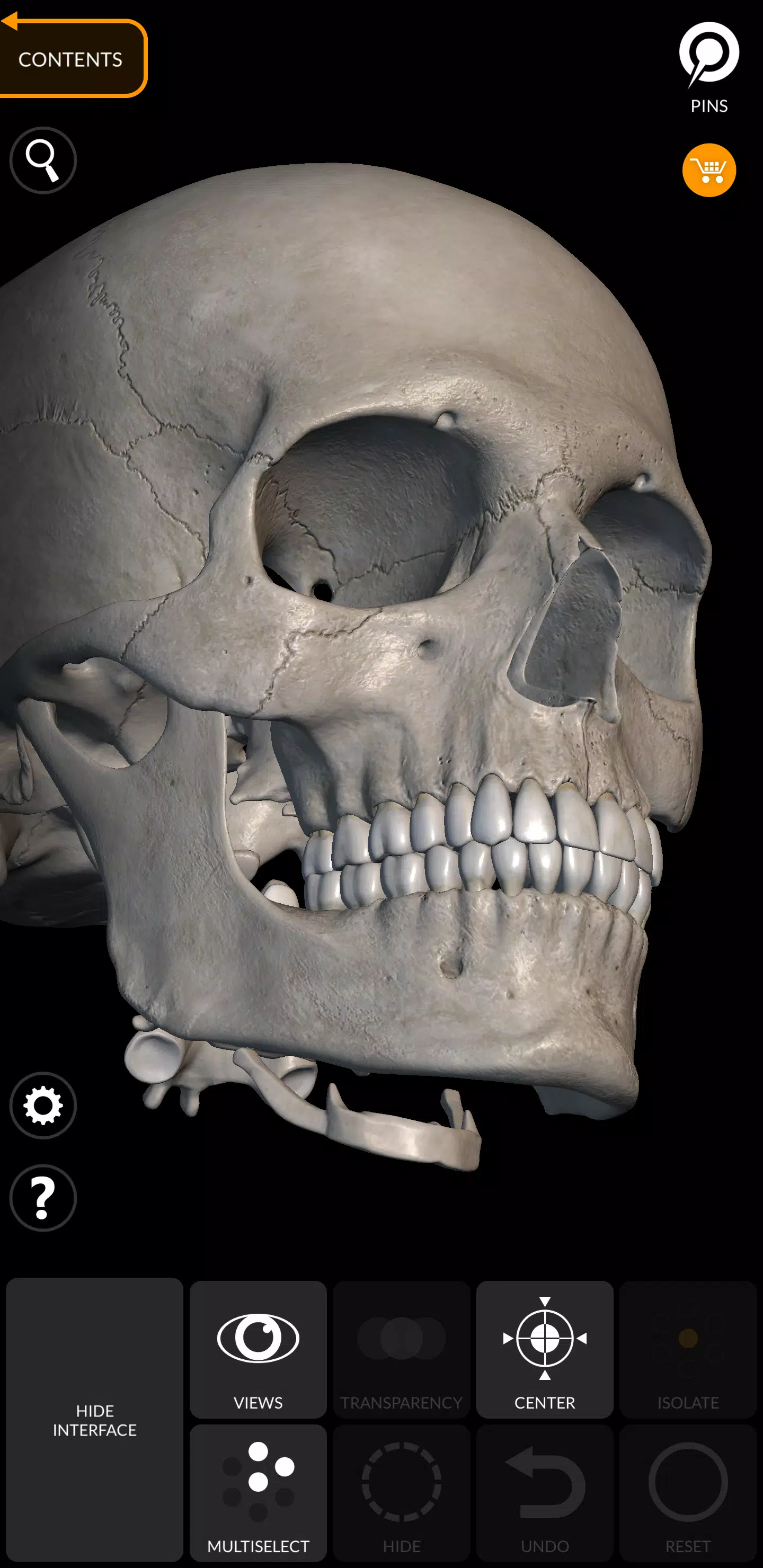 Skeleton स्क्रीनशॉट 3