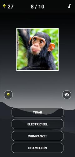 Animal Quiz: Guess the Animal Capture d'écran 0