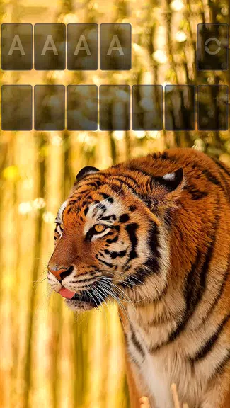 Solitaire Tiger Theme应用截图第1张