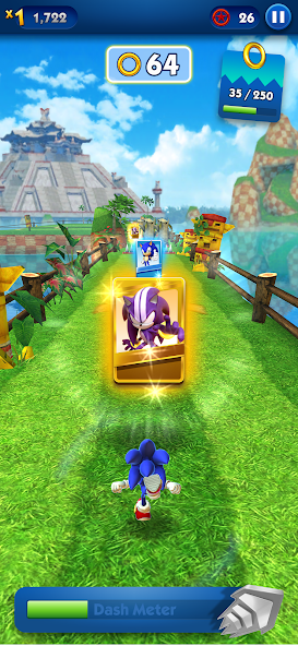 Sonic Dash - Endless Running Mod ภาพหน้าจอ 3