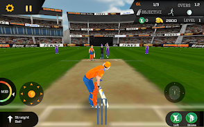 Cricket Unlimited 2017 Schermafbeelding 2