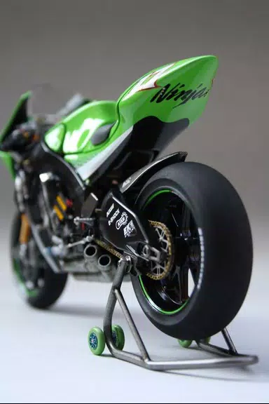 Kawasaki Ninja ZX10r Wallpaper应用截图第1张