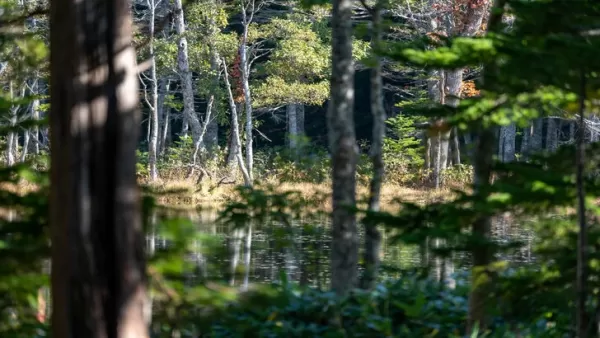 Fantasma de Yotei Situado em Hokkaido por seu senso de perigo e beleza