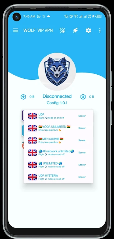 WOLF VIP VPN Capture d'écran 0