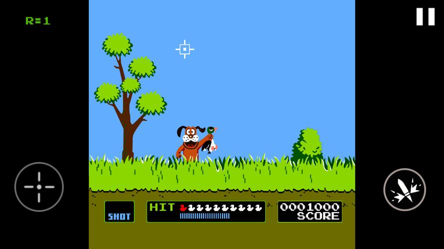 Duck Hunt Captura de pantalla 1