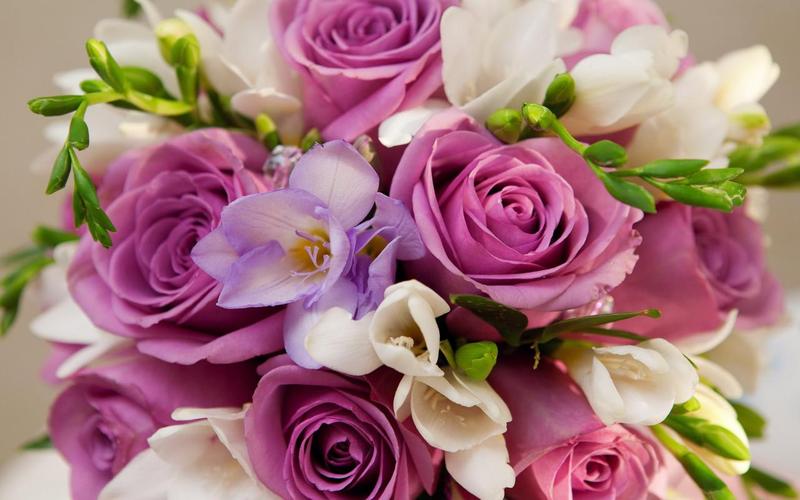 Roses Jigsaw Puzzles應用截圖第1張