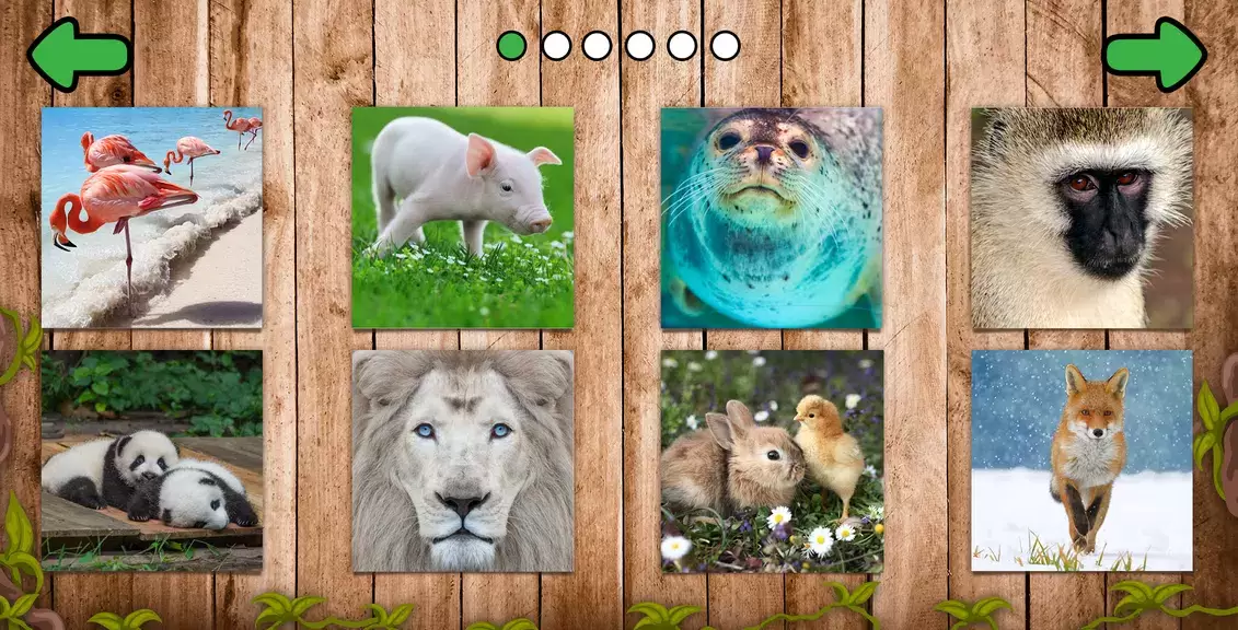 Schermata Animal puzzle games offline 1