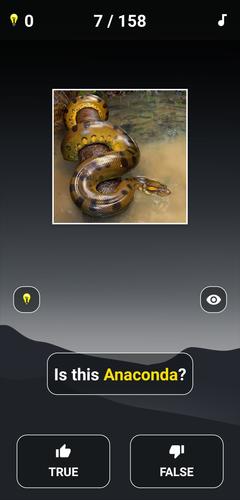 Animal Quiz: Guess the Animal Capture d'écran 2