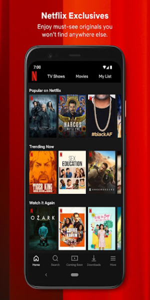 Netflix Capture d'écran 1