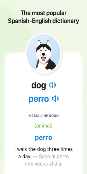 SpanishDictionary.com Learning Screenshot 1