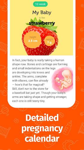 Pregnancy App and Baby Tracker ဖန်သားပြင်ဓာတ်ပုံ 2