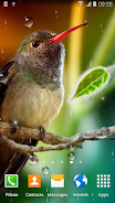 Hummingbirds Live Wallpaper स्क्रीनशॉट 0