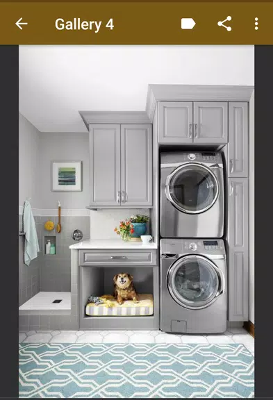 Laundry Room Organization ภาพหน้าจอ 2