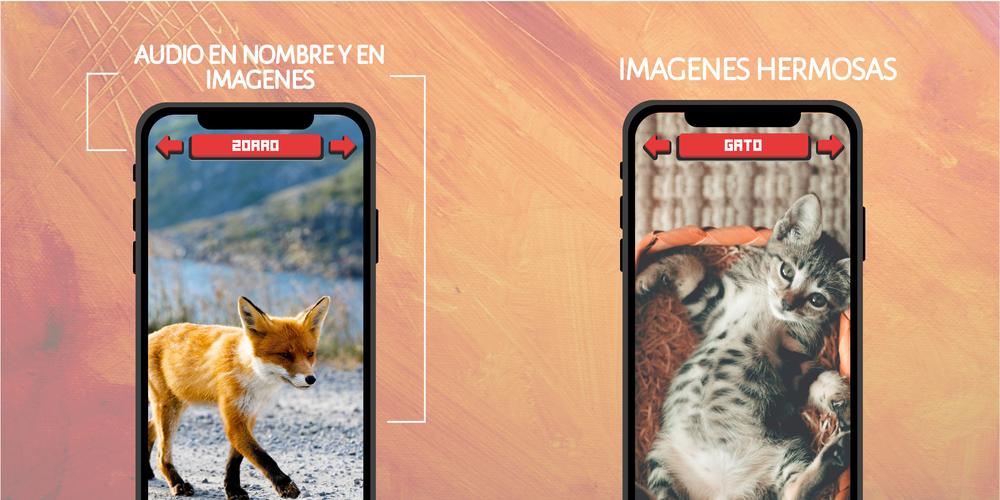 Schermata Animales: Sonidos e Imágenes 2