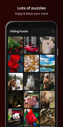 Sliding Puzzle ภาพหน้าจอ 1