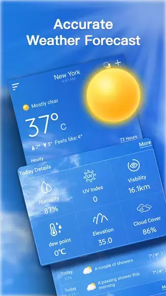 Live Weather Forecast Screenshot 0