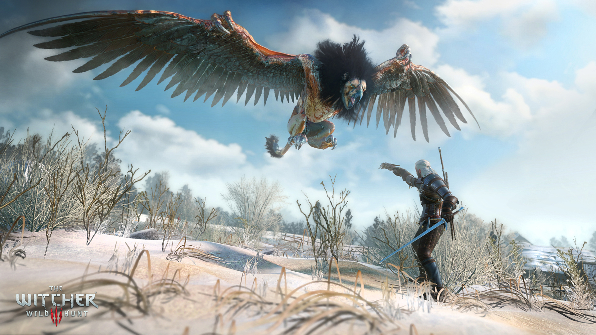 Witcher 3 Screenshot