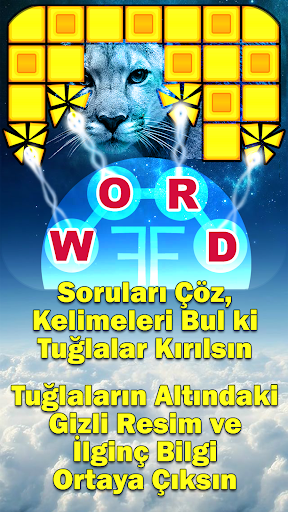 Word Fun Fact (WFF) Word Games Ekran Görüntüsü 2