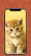 Kitty Cat Pin Lock Screen Captura de tela 0