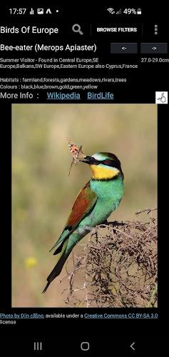 Birds Of Europe Guide ဖန်သားပြင်ဓာတ်ပုံ 2