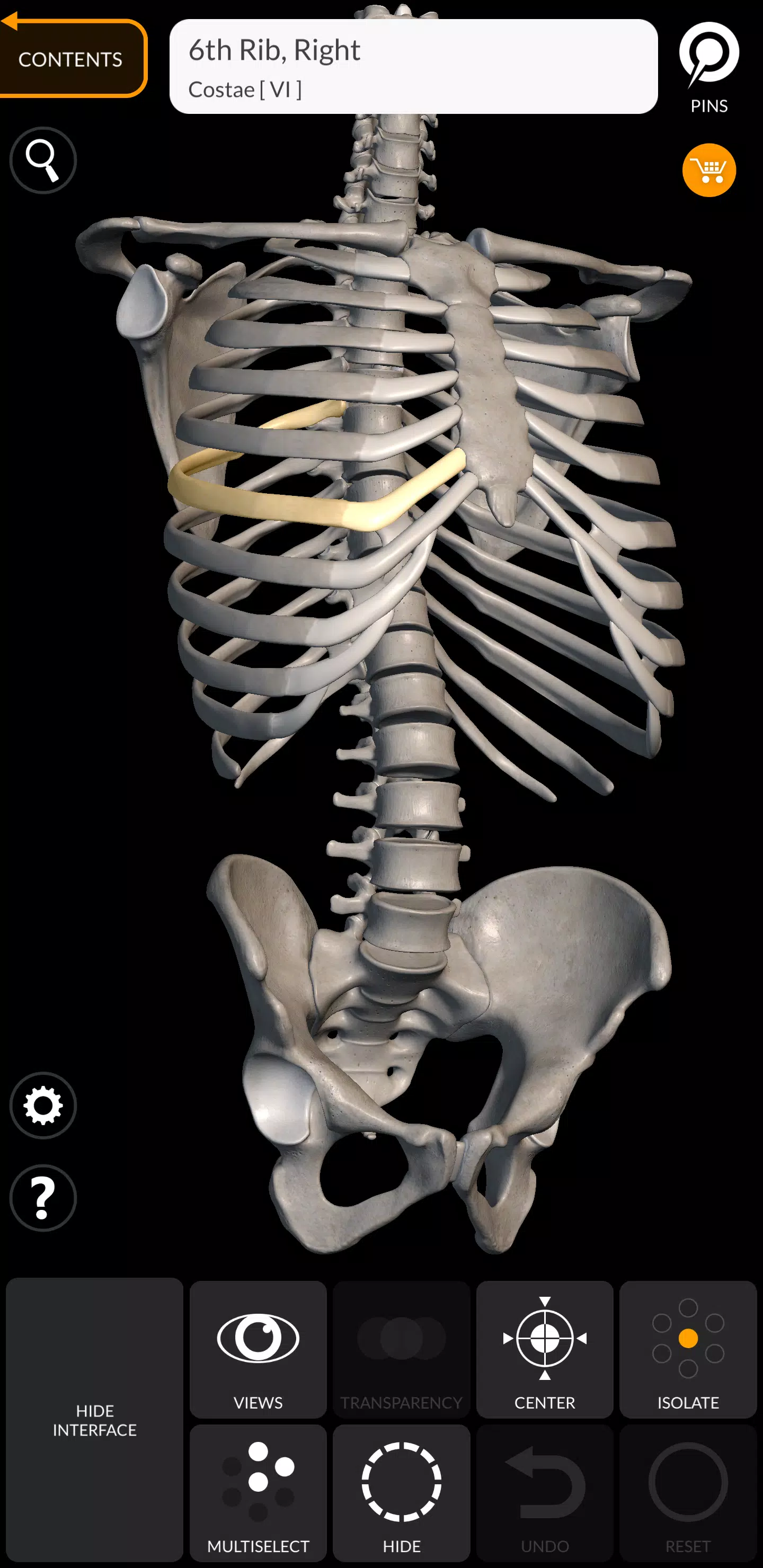 Skeleton स्क्रीनशॉट 0