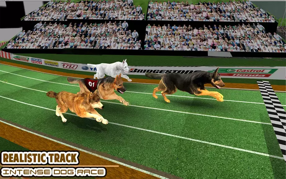 Dog racing games - dog game 3d Captura de tela 0