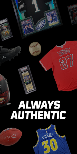 Pristine Auction Capture d'écran 1