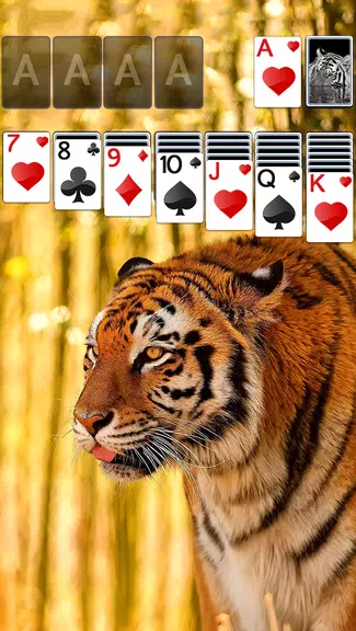 Solitaire Tiger Theme应用截图第0张