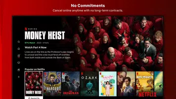 Netflix स्क्रीनशॉट 2