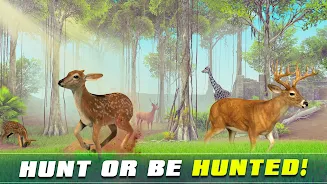 Safari Animal Hunter Simulator Ekran Görüntüsü 3