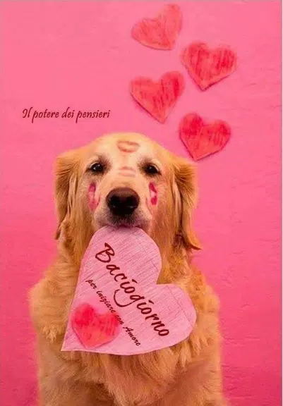 Buongiorno buonasera buonanote应用截图第1张