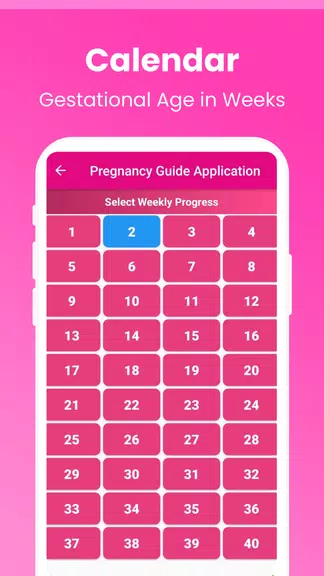 Pregnancy Guide - A Mom Tangkapan skrin 3