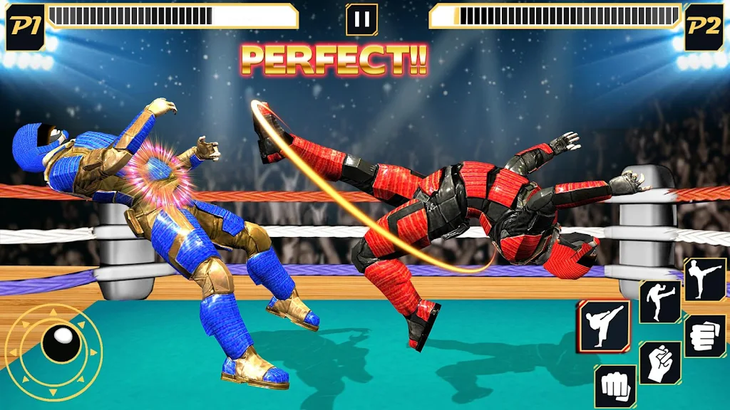 Real Robot Wrestling - Robot F Screenshot 1