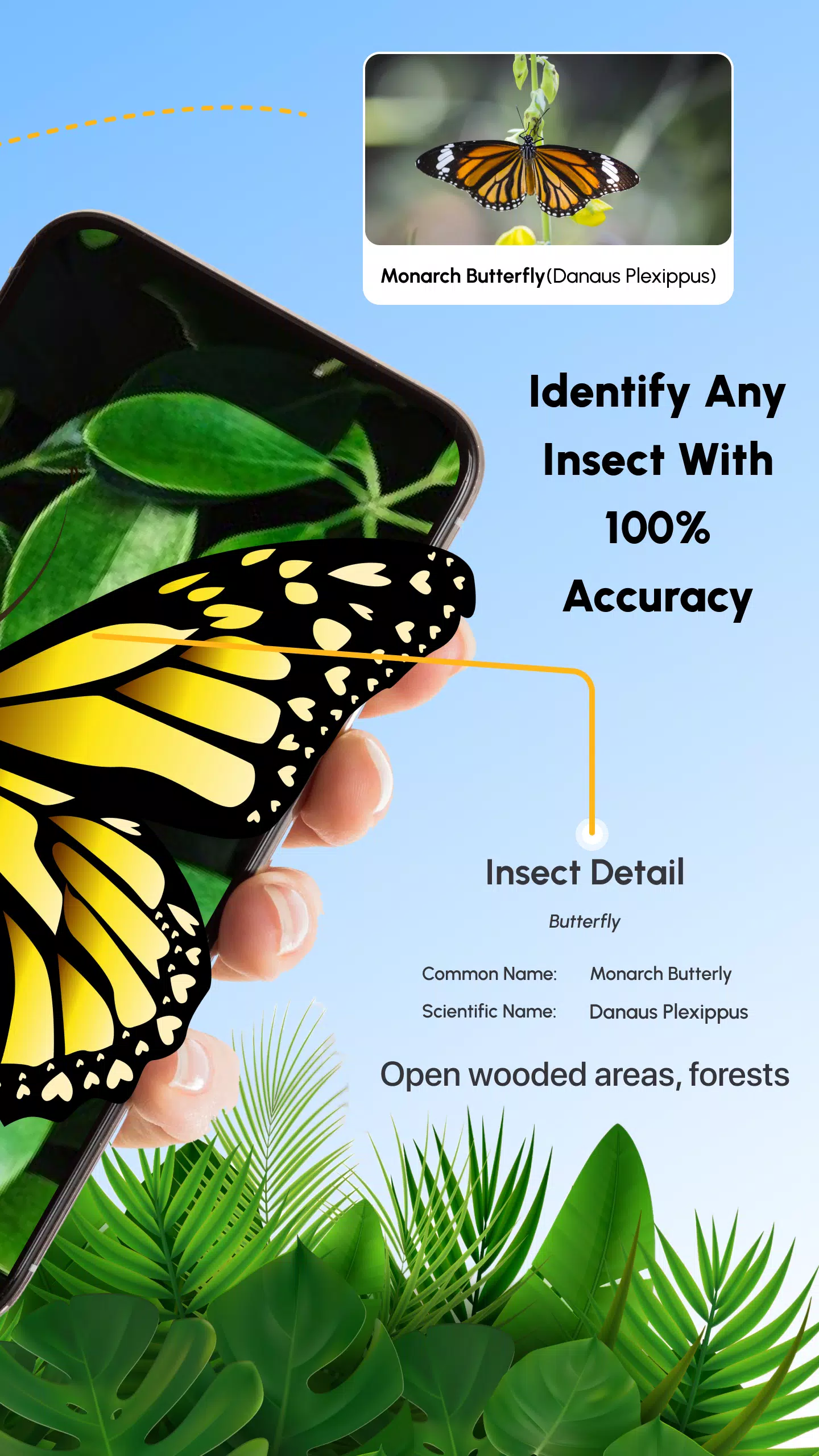 Insect Identifier Bug Identify Ảnh chụp màn hình 1
